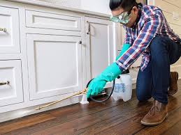 Best Residential Pest Control  in Birngham, MI