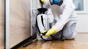 Best Bed Bug Extermination  in Birngham, MI